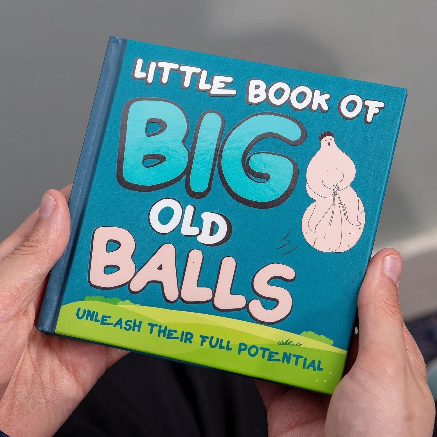 Little Book of Big Old Balls – Hysterical Gag Joke Adult Fun Party Gift