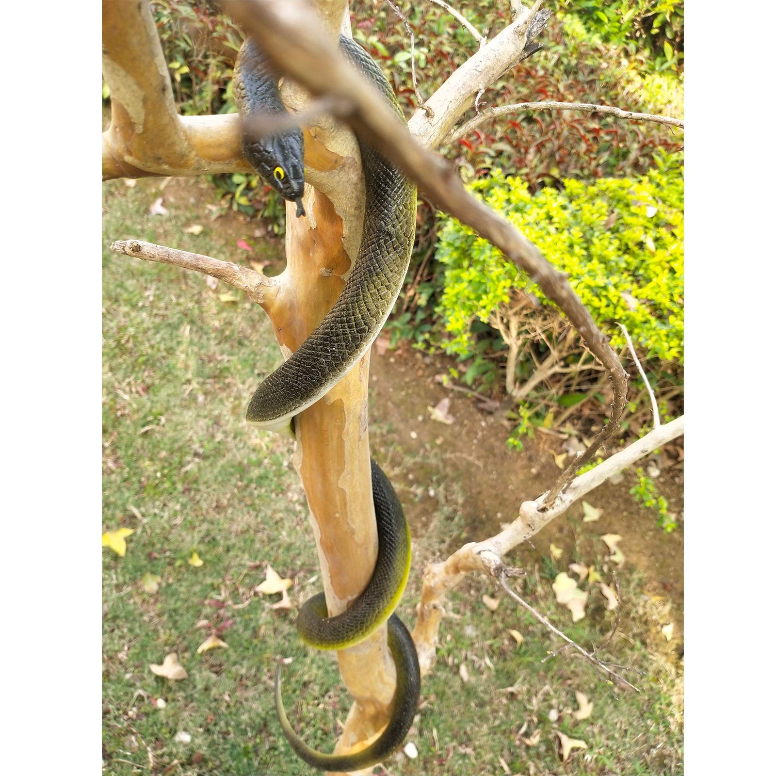 53â€ Large Rubber Snakes Super Realistic, Fake Snake Looks so Real, Snake To…