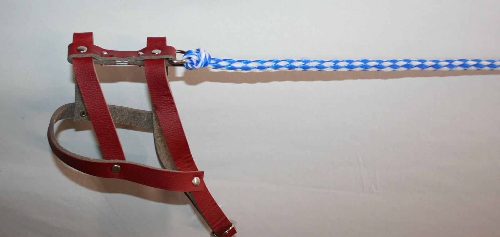 Invisible Dog Leash theatrical stage parade prop joke prank comedy clown fun gag