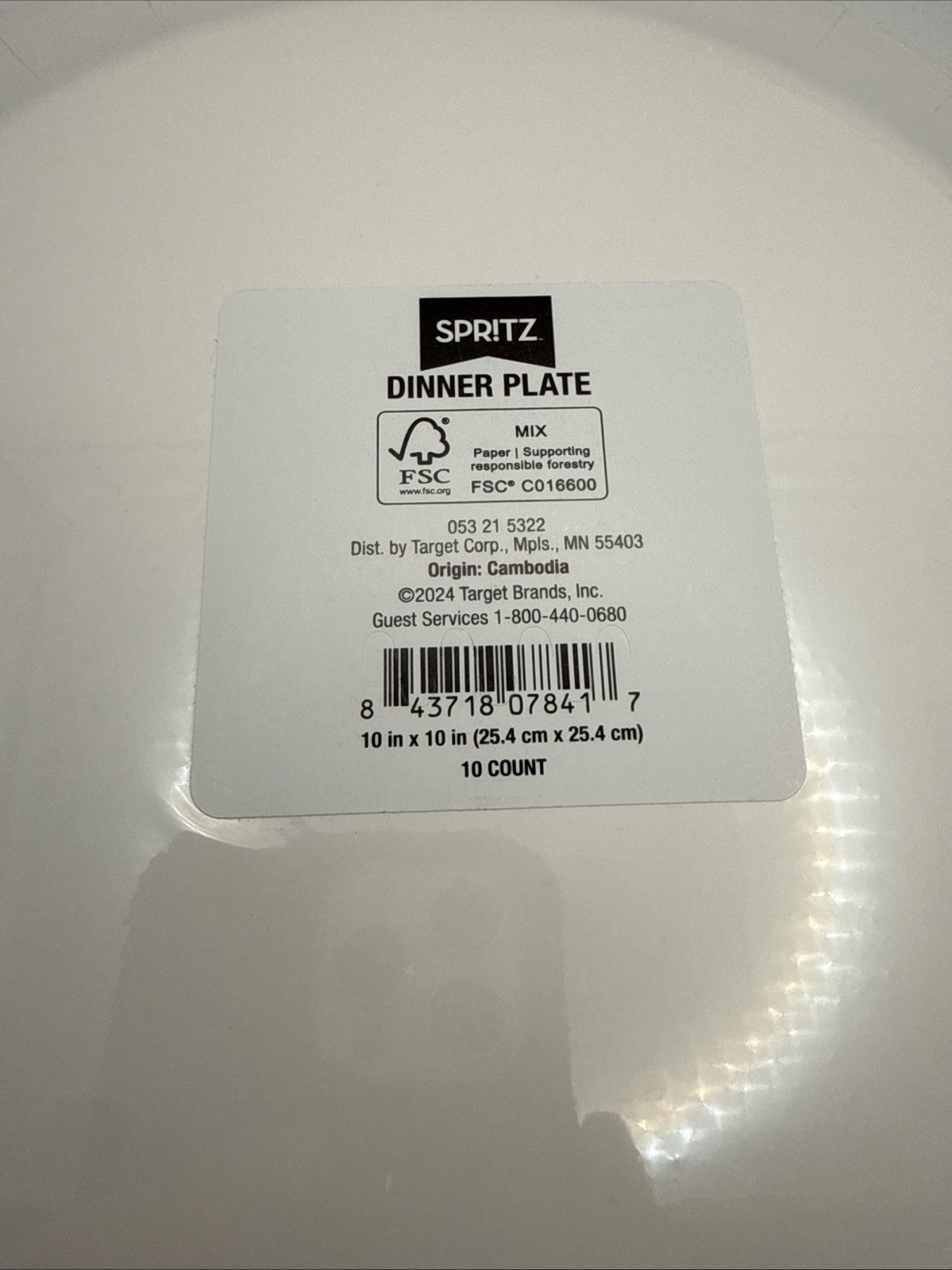 Spritz Fall Theme /Thanksgiving 10″ Dinner Plates 10ct by Target Made USA 1054