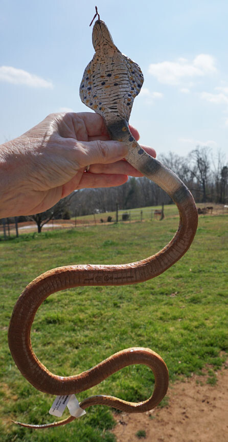Cobra Snake Replica – AAA – Small – Choice of 4 Varieties