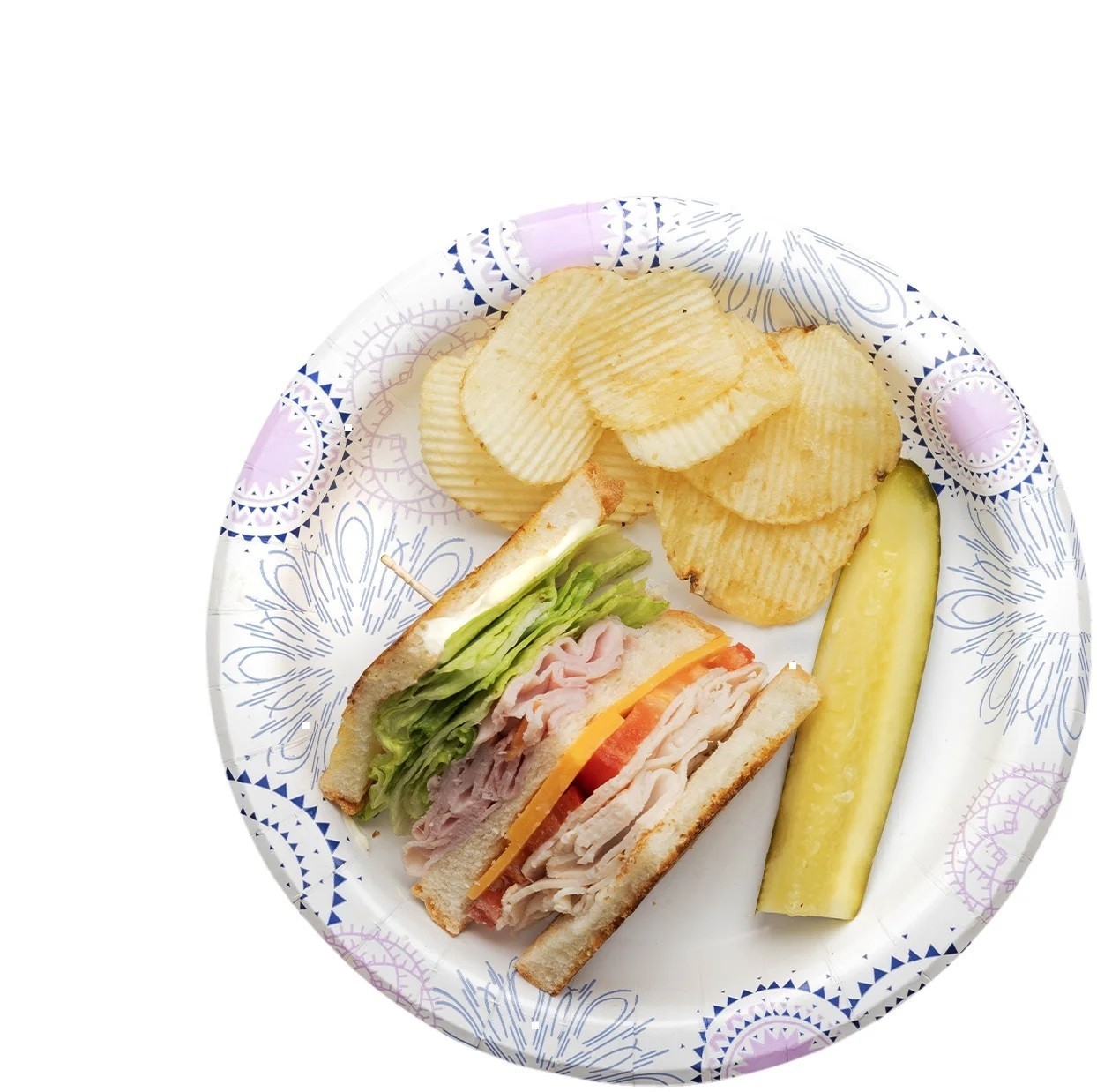 Everyday Disposable Paper Plates, 8.5 inches, Pack of 200 – Great Value