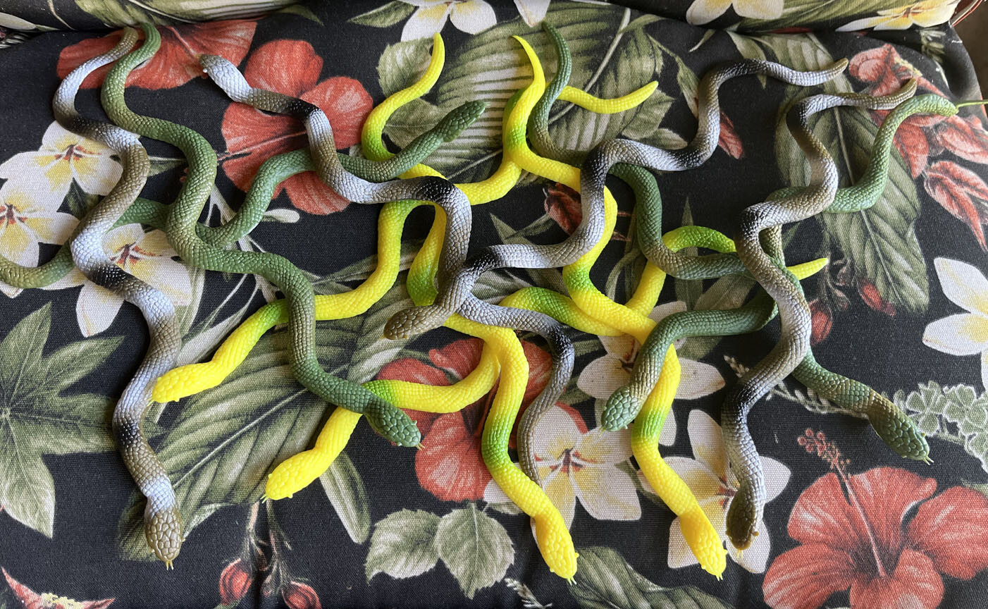 Toy Snakes (12) – Flat – Medusa?