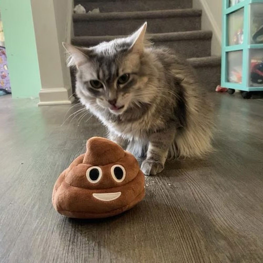 Funny Talking Poop Plush Toy,Makes Fart Sounds, Fake Poop Dog Toy GN