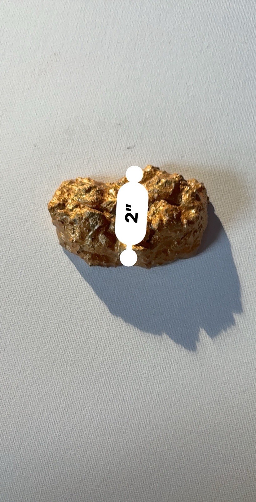 🏆Solid Gold Poop Trophy – Hilarious Heavyweight Gag Gift Novelty Paperweight💩