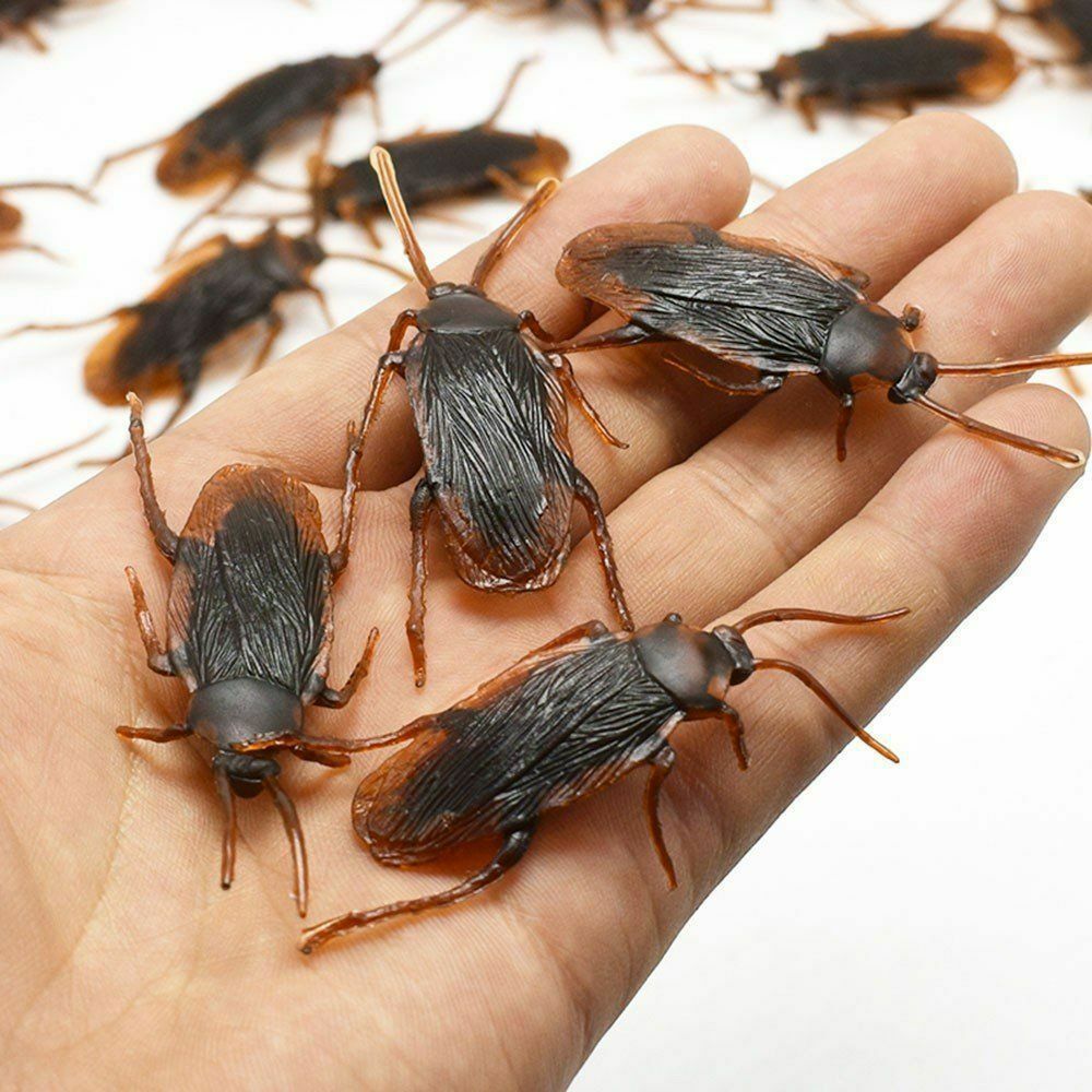 Realistic Cockroach Prank Toy Rubber Fake Fly Creepy Cock Roach Mini Bugs Gags