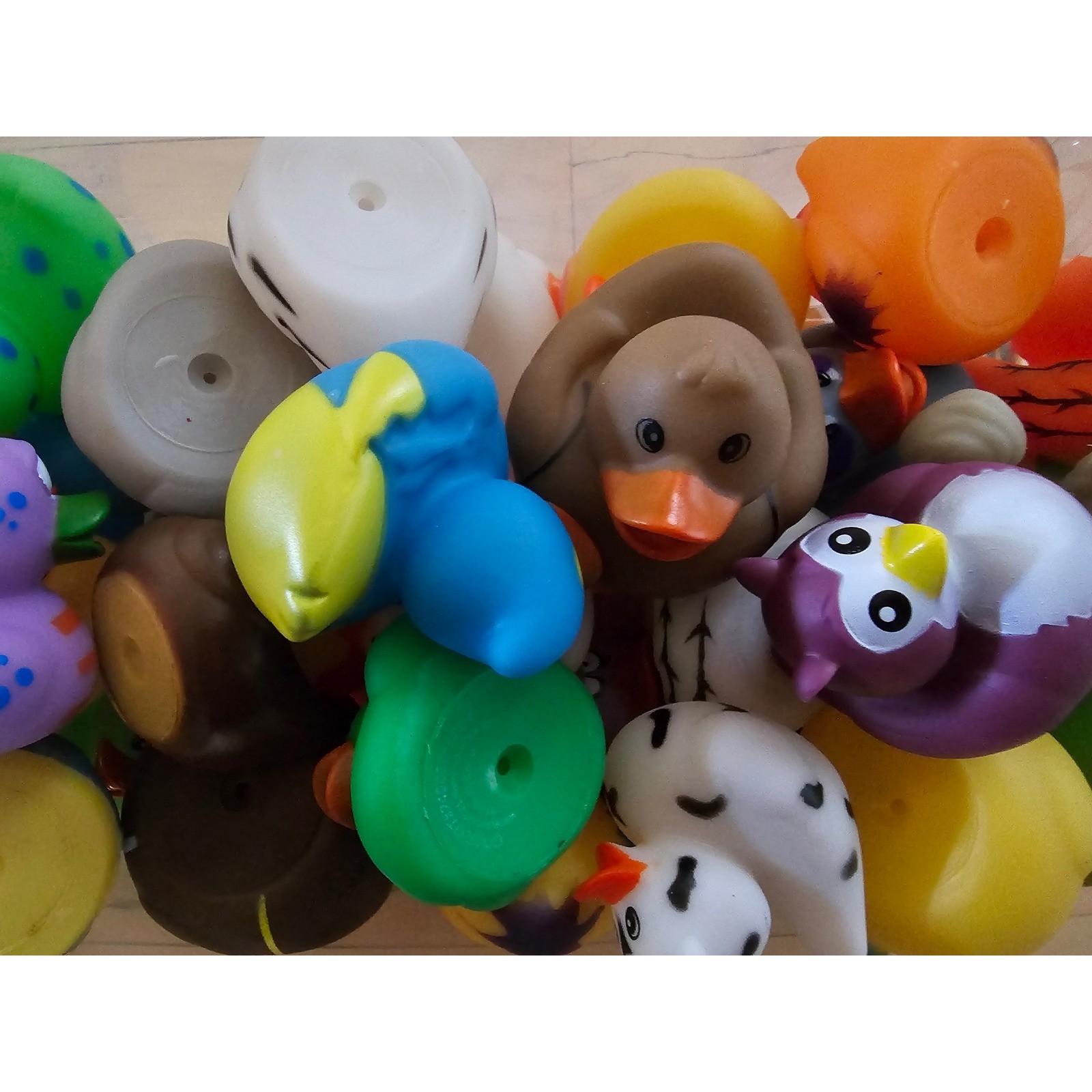 Jeep Ducking Kit Assorted Rubber Ducks with Youve Been Ducked Tags and Bands