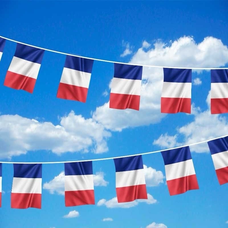 French Flag Bunting 10m PVC Waterproof 20 Flags Indoor Outdoor Party Garden