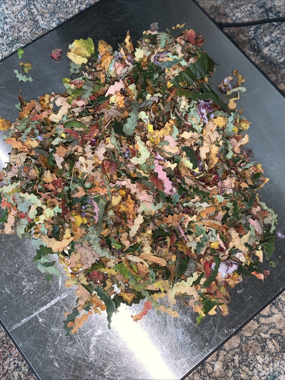 2 Oz ALL Natural Hand Prepared Multicolor Biodegradable Confetti No Dye