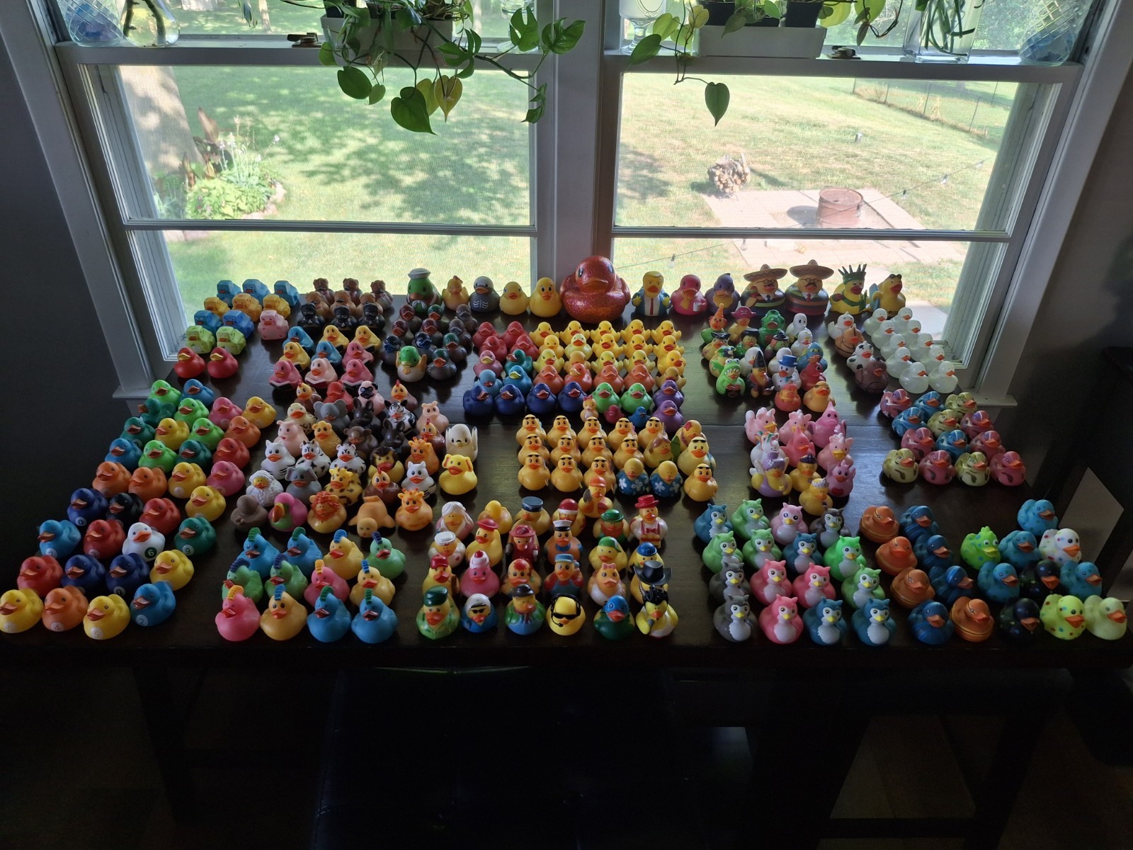 Large Collection (300) of assorted Rubber Ducks for Jeep “Ducking”/Party Favors