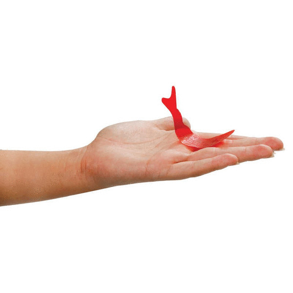 Fortune Teller Miracle Fish – Set of Three Fish – Red Fish Tells Future!