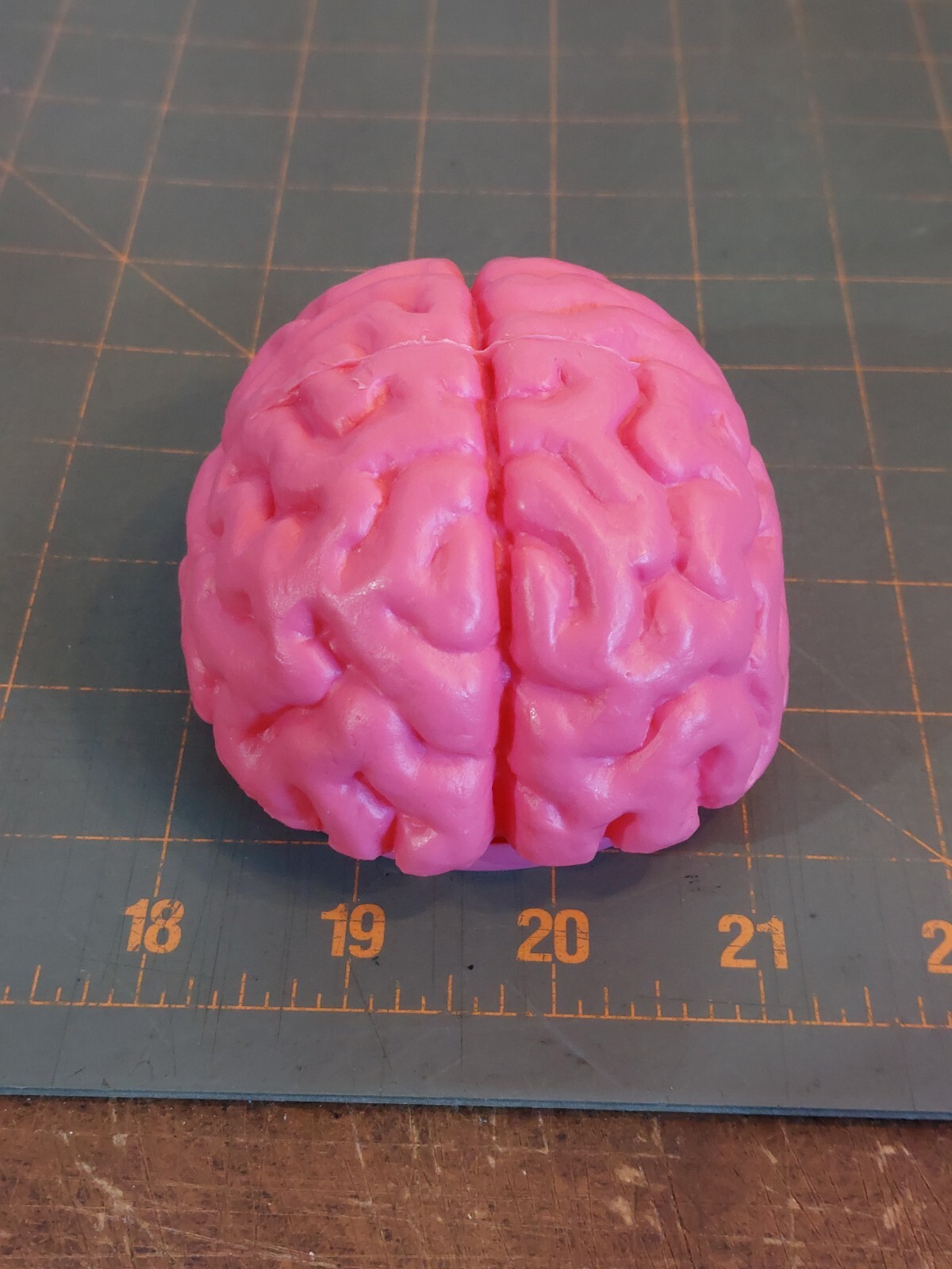 Vintage Plastic Brain Candy Case Holder Pink Box Container