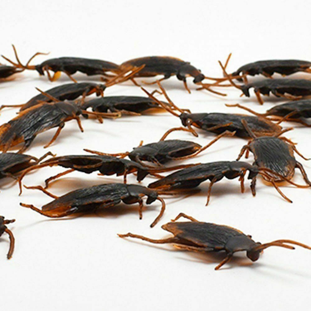 Realistic Cockroach Prank Toy Rubber Fake Fly Creepy Cock Roach Mini Bugs Gags