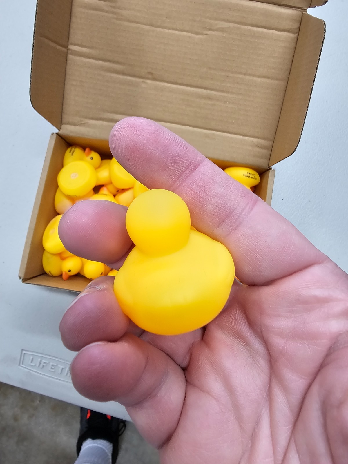 Large Lot of Small Squeaker Ducks Ducking Jeeps Jeep – Fast US Shipping
