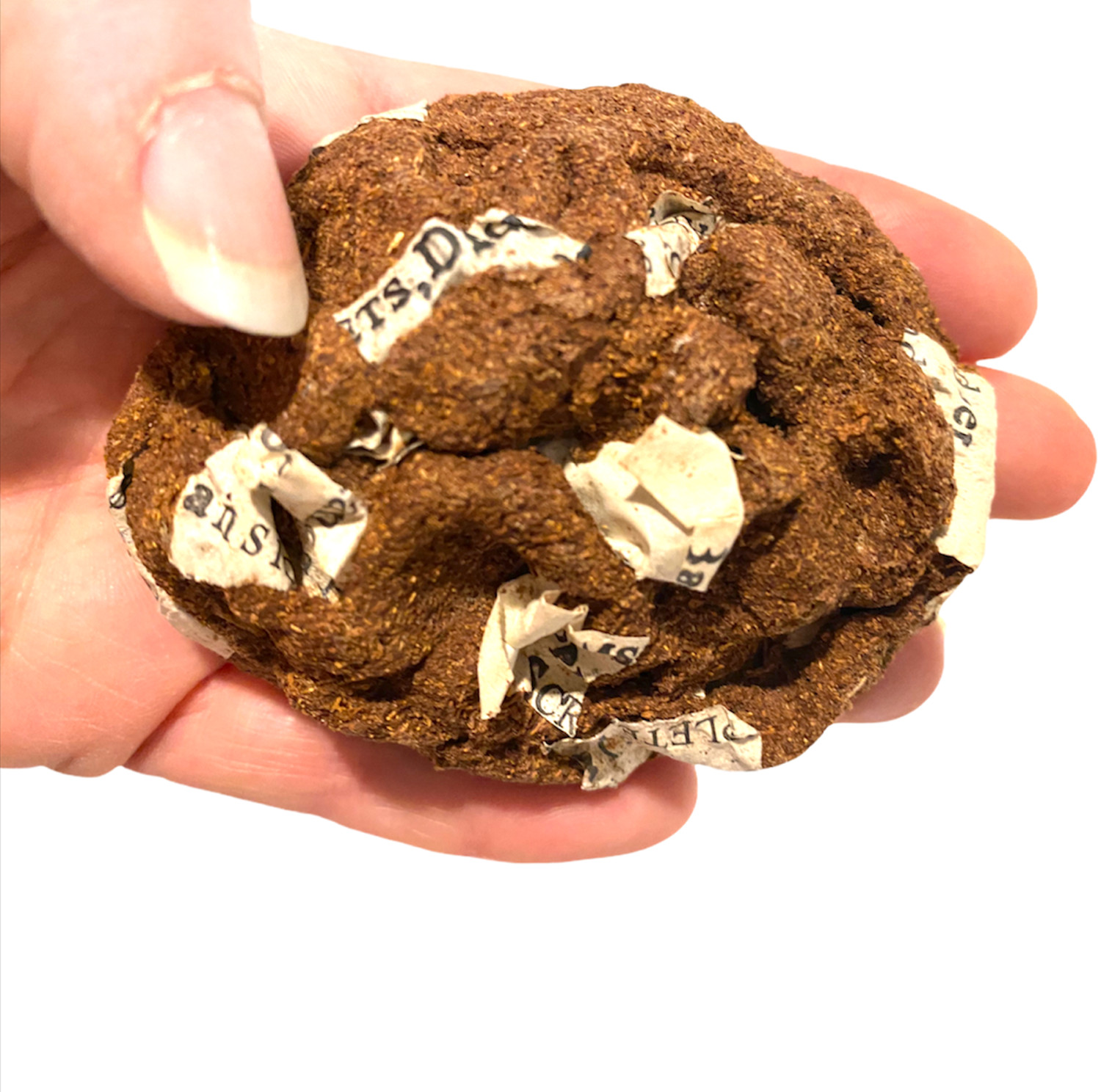 HIGH QUALITY Fake Dog Poop Poo Realistic Doggy Doo Doo Joke Gag – Paper in Crap