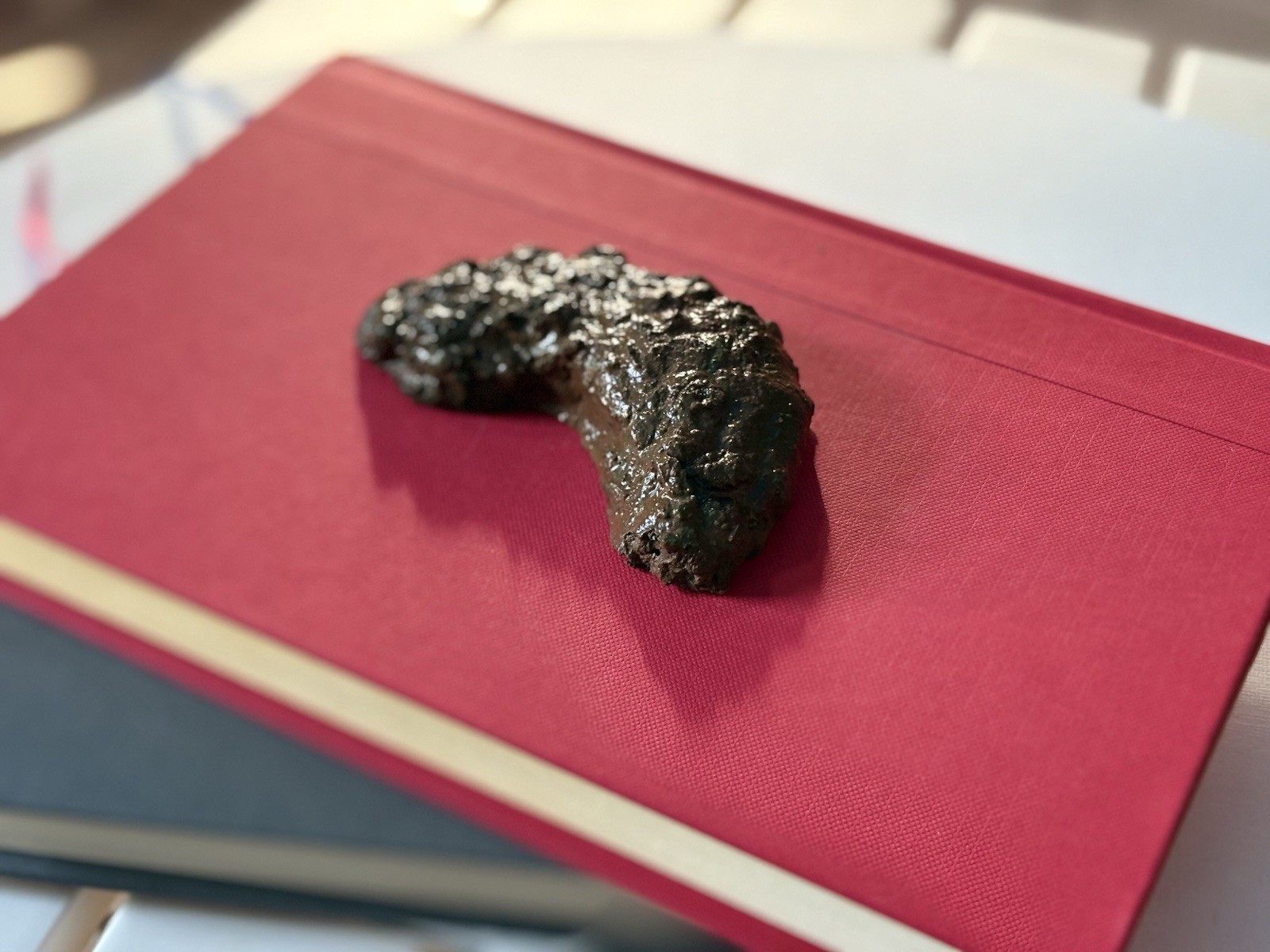 Realistic Fake Poop Concrete Prank Gift – Handmade Custom Joke Gag Turd Novelty
