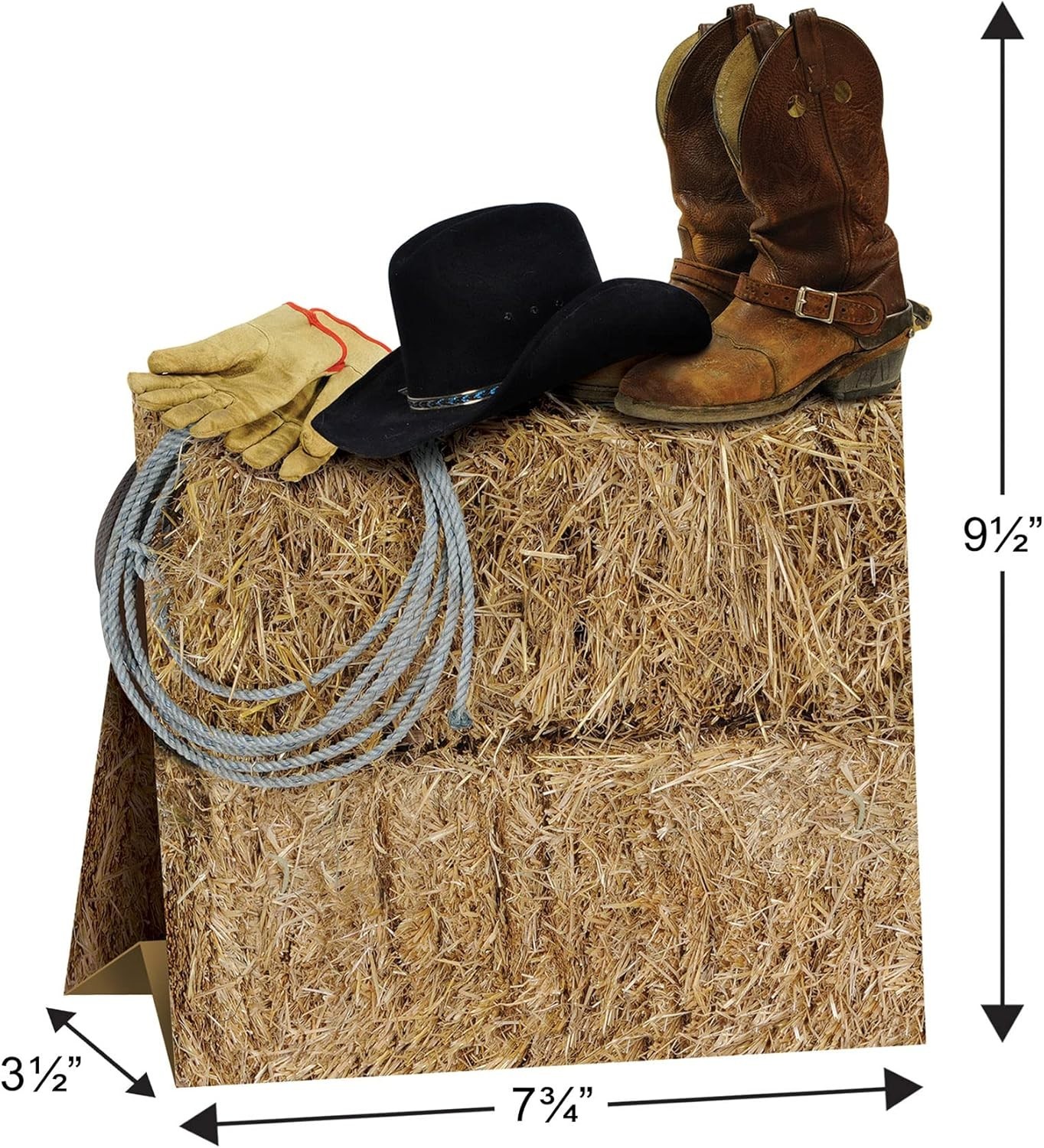 Cowboy Decor, Rustic Wild West Party Display, Desert Theme