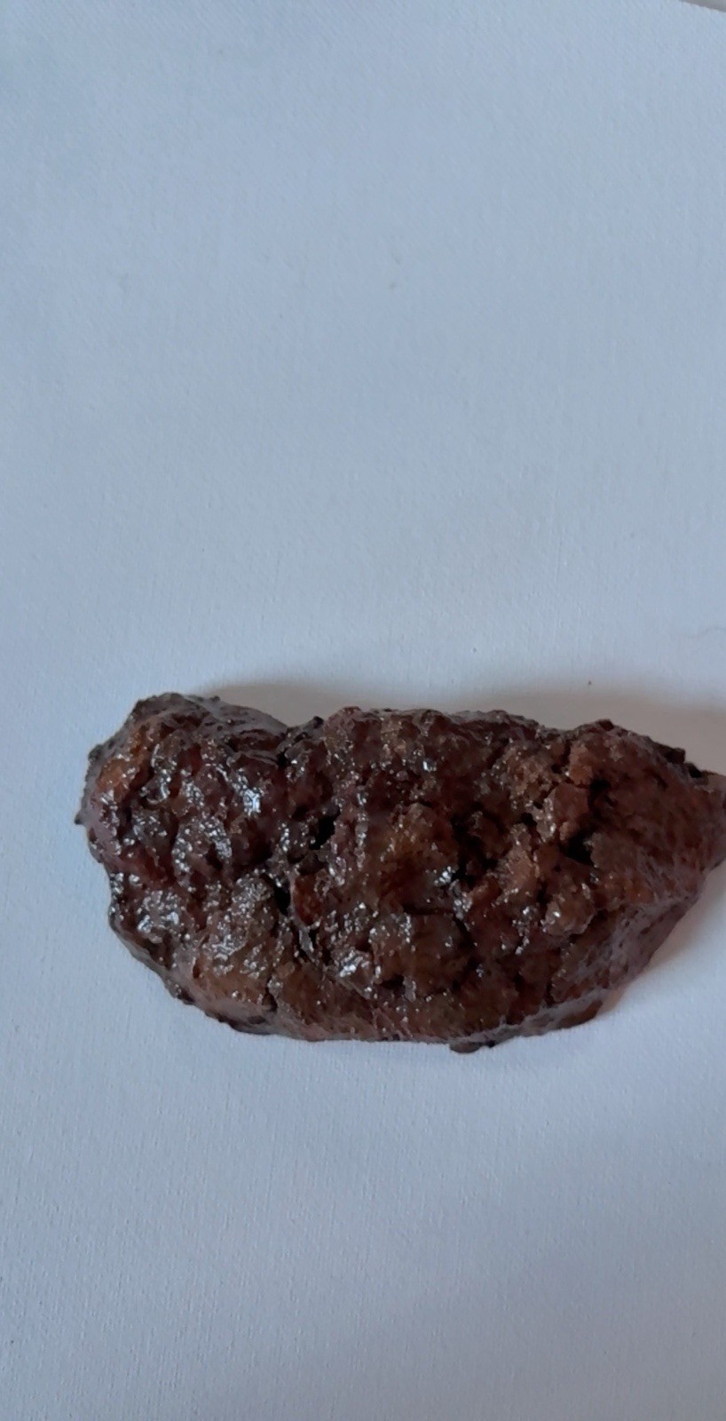 Realistic Fake Poop Concrete Prank Gift – Handmade Custom Joke Gag Turd Novelty