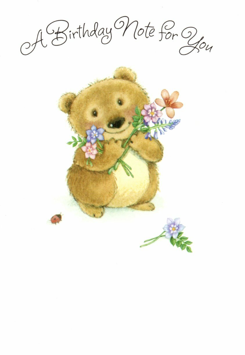 Happy Birthday Brown Bear Flowers Ladybug Hallmark Greeting Card – Set of 2