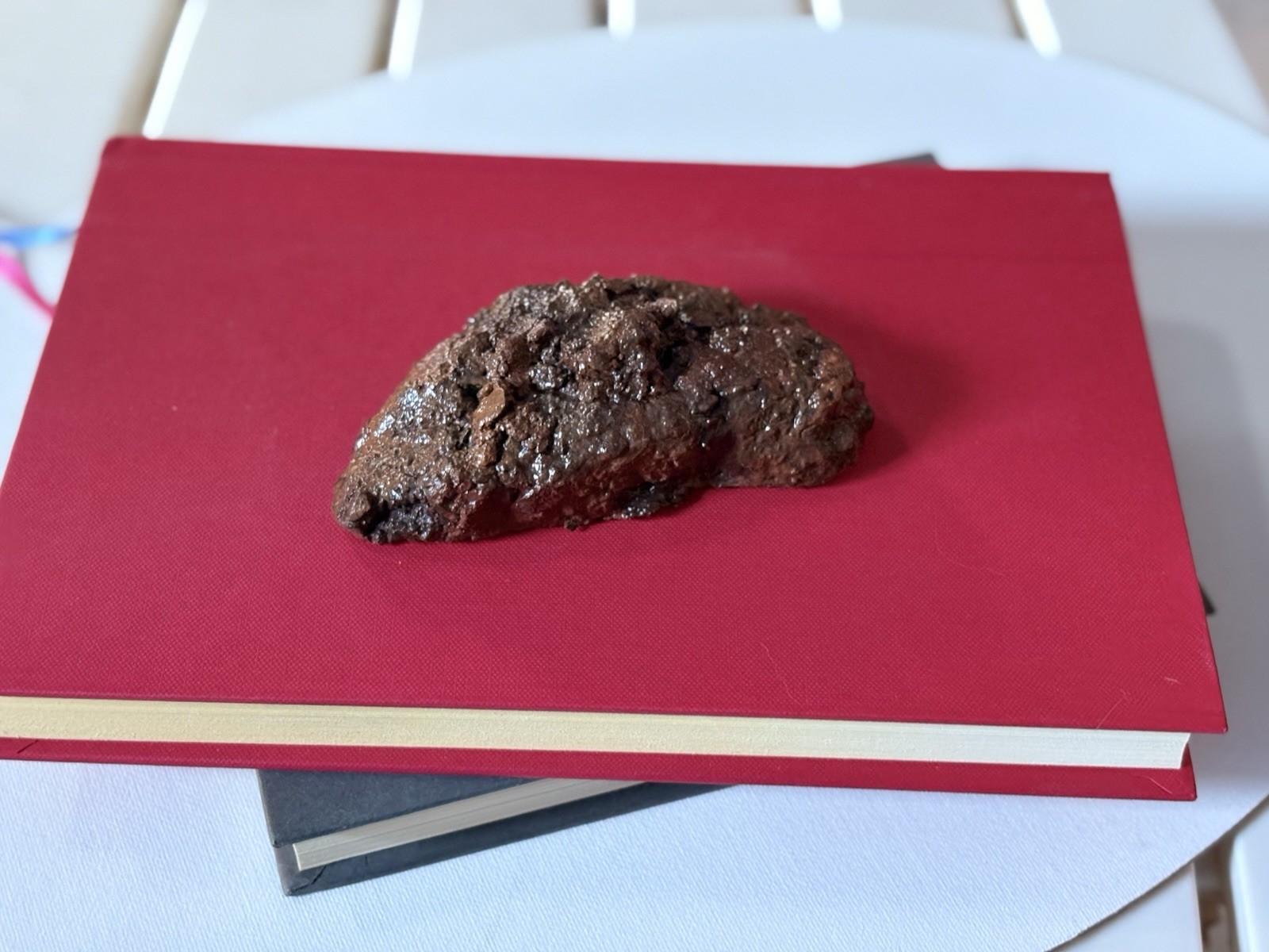 Realistic Fake Poop Concrete Prank Gift – Handmade Custom Joke Gag Turd Novelty