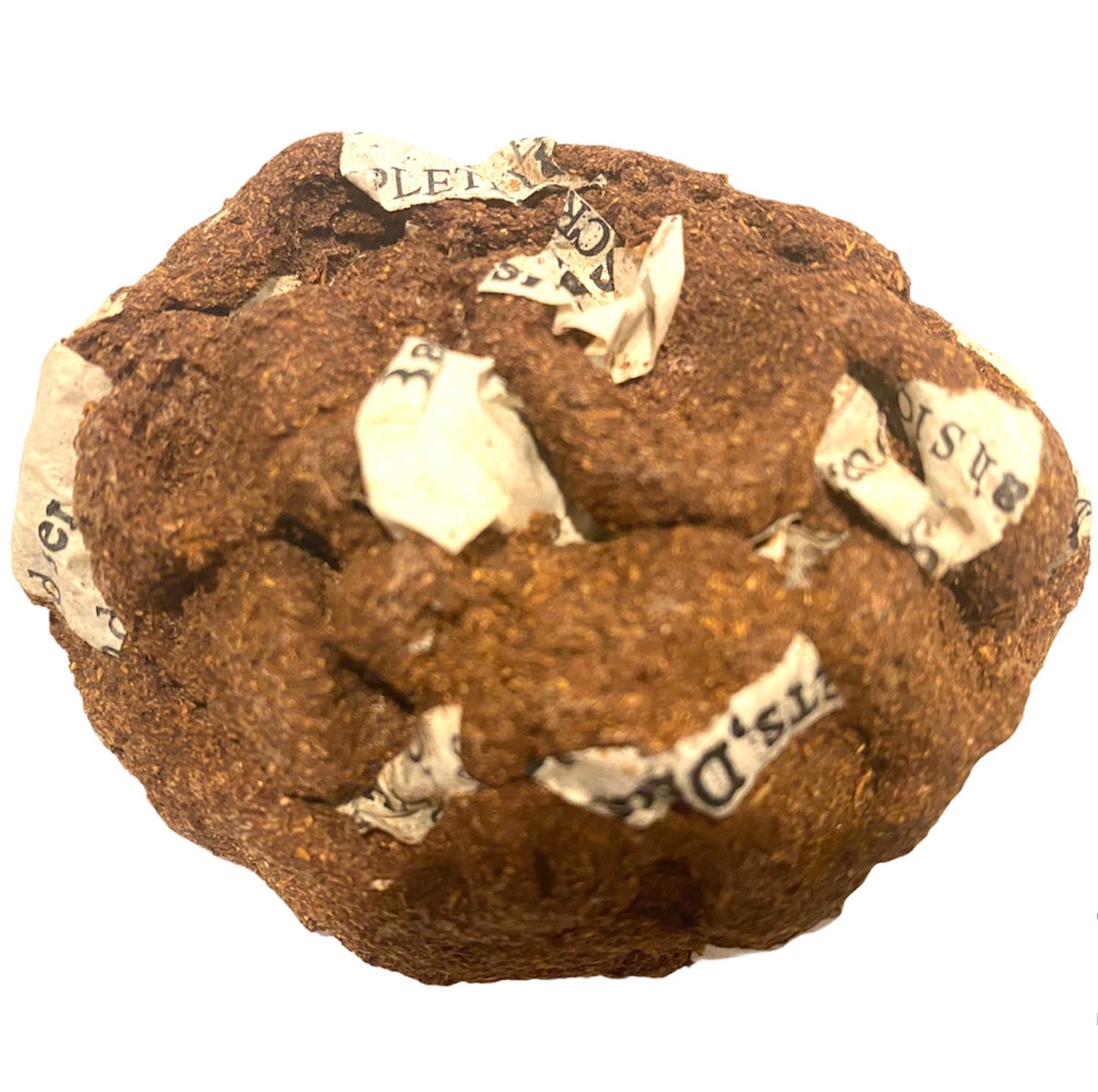 HIGH QUALITY Fake Dog Poop Poo Realistic Doggy Doo Doo Joke Gag – Paper in Crap