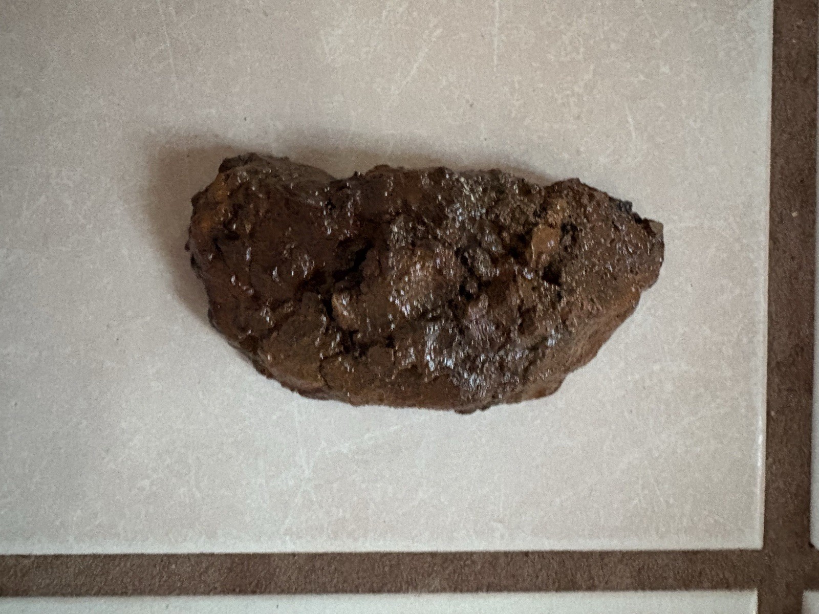 Realistic Fake Poop Concrete Prank Gift – Handmade Custom Joke Gag Turd Novelty