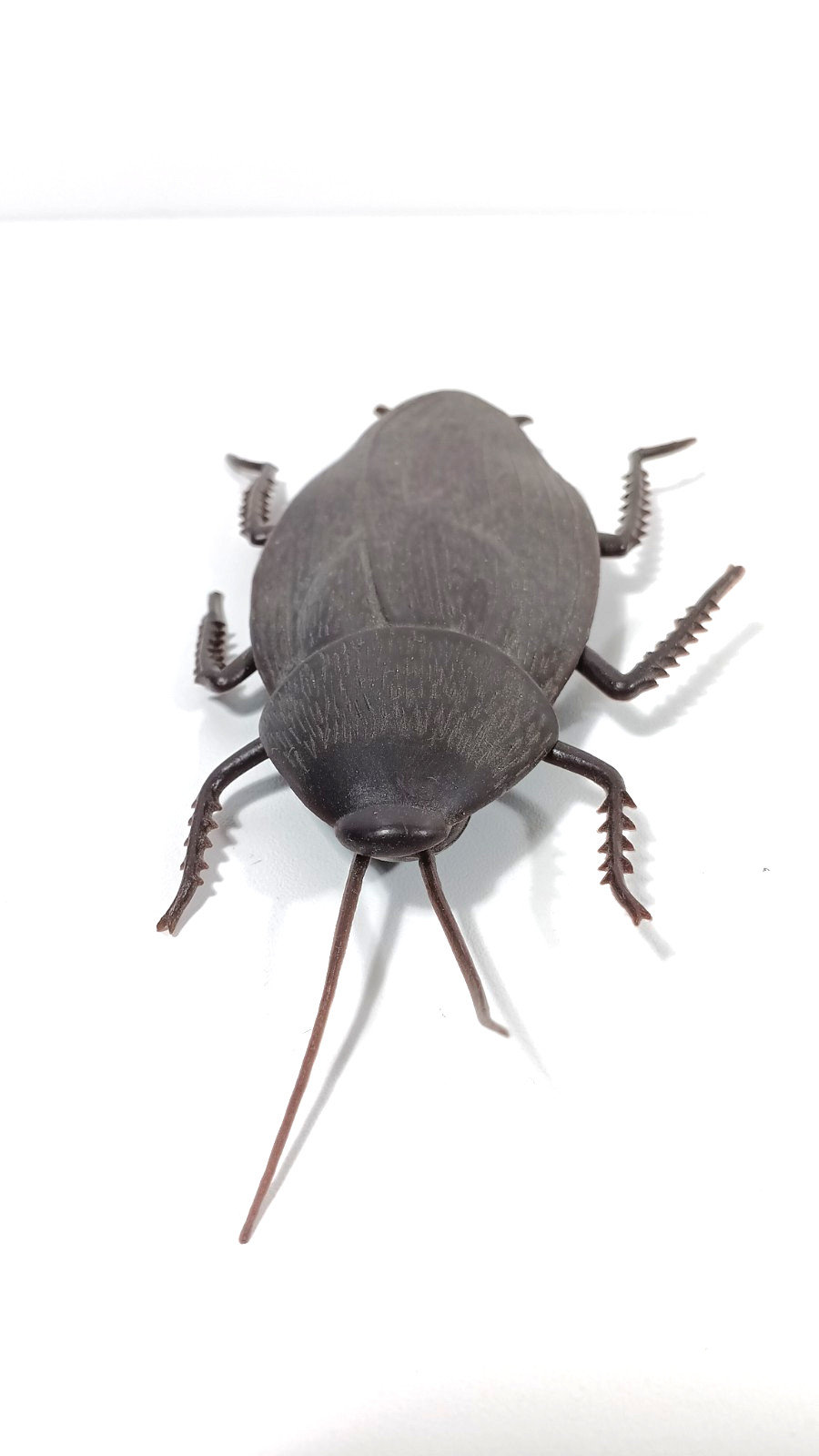 JUMBO COCKROACH 6″ Giant Rubber Fake Bug Prank Joke Gag Funny Roach Halloween