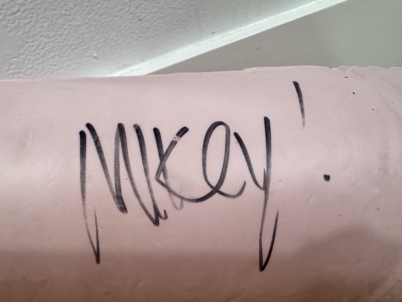 My Chemical Romance Signed Inflatable Adult Novelty Toy 4 Members Three Cheers
