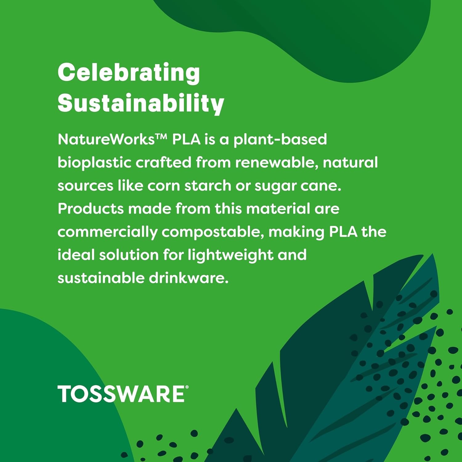 TOSSWARE NATURAL Arc – Plant Based Clear Cold Cups 12 oz – Plastic Alternative f