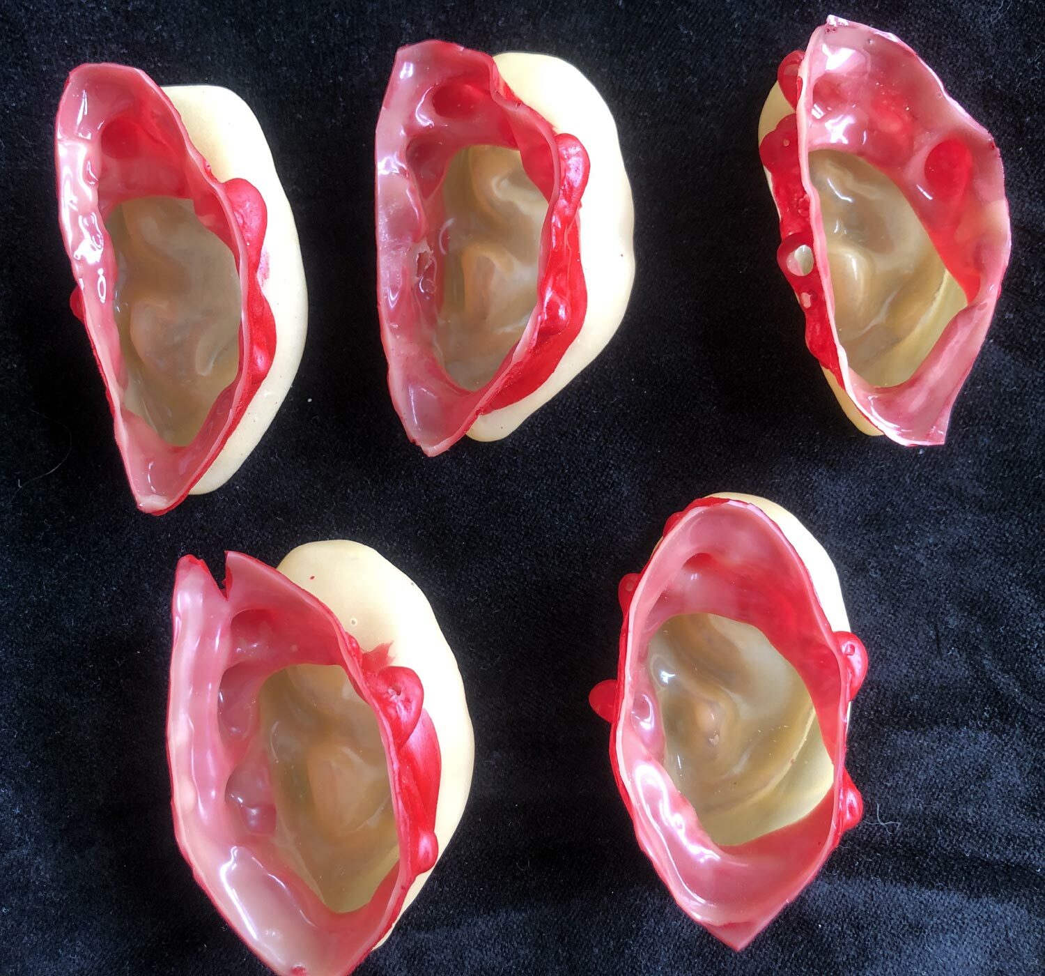 5pc Bloody Body Part Fake HUMAN SEVERED EARS Zombie Hunter Halloween Horror Prop