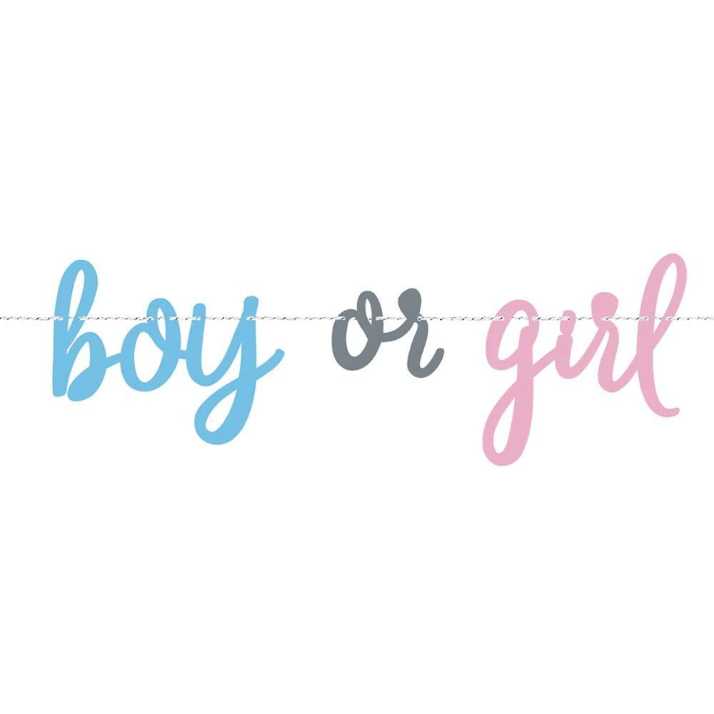 Gender Reveal Party Girl Or Boy Hanging Banner Garland Baby Shower Decoration
