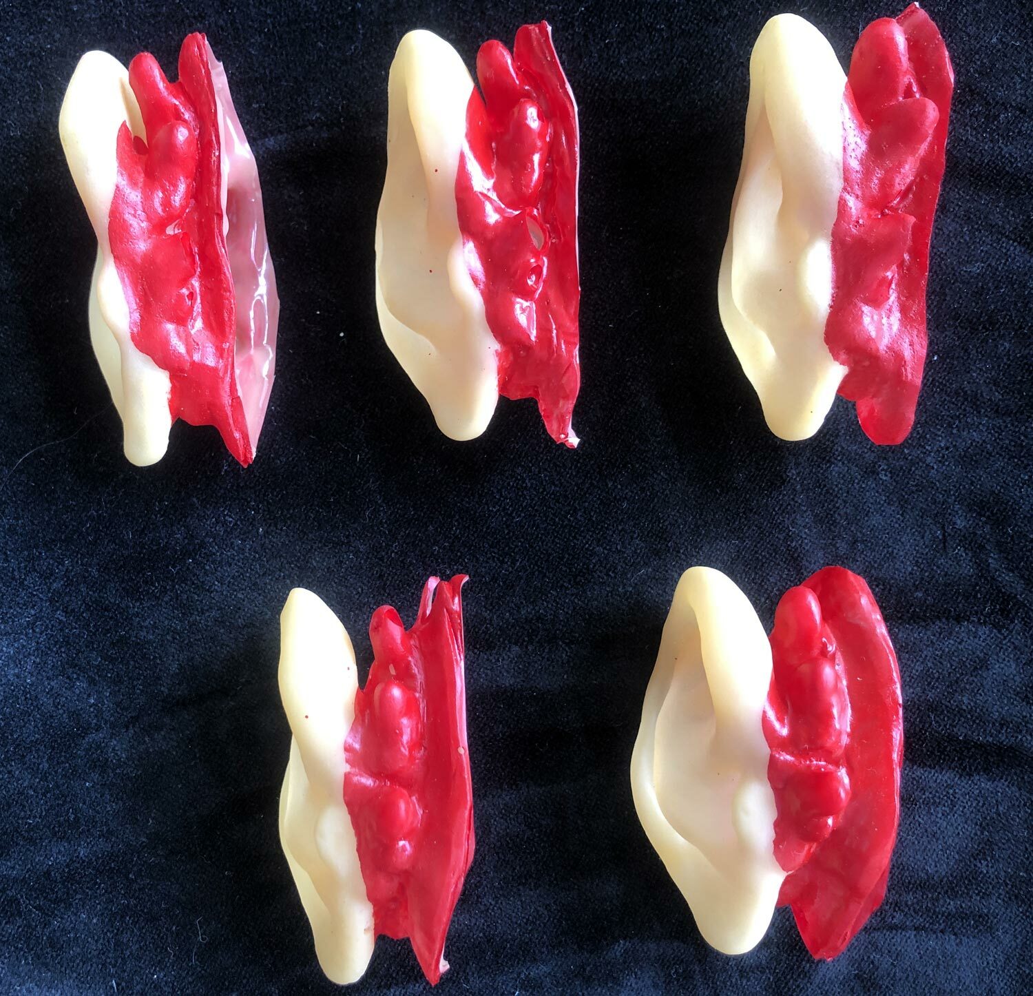 5pc Bloody Body Part Fake HUMAN SEVERED EARS Zombie Hunter Halloween Horror Prop