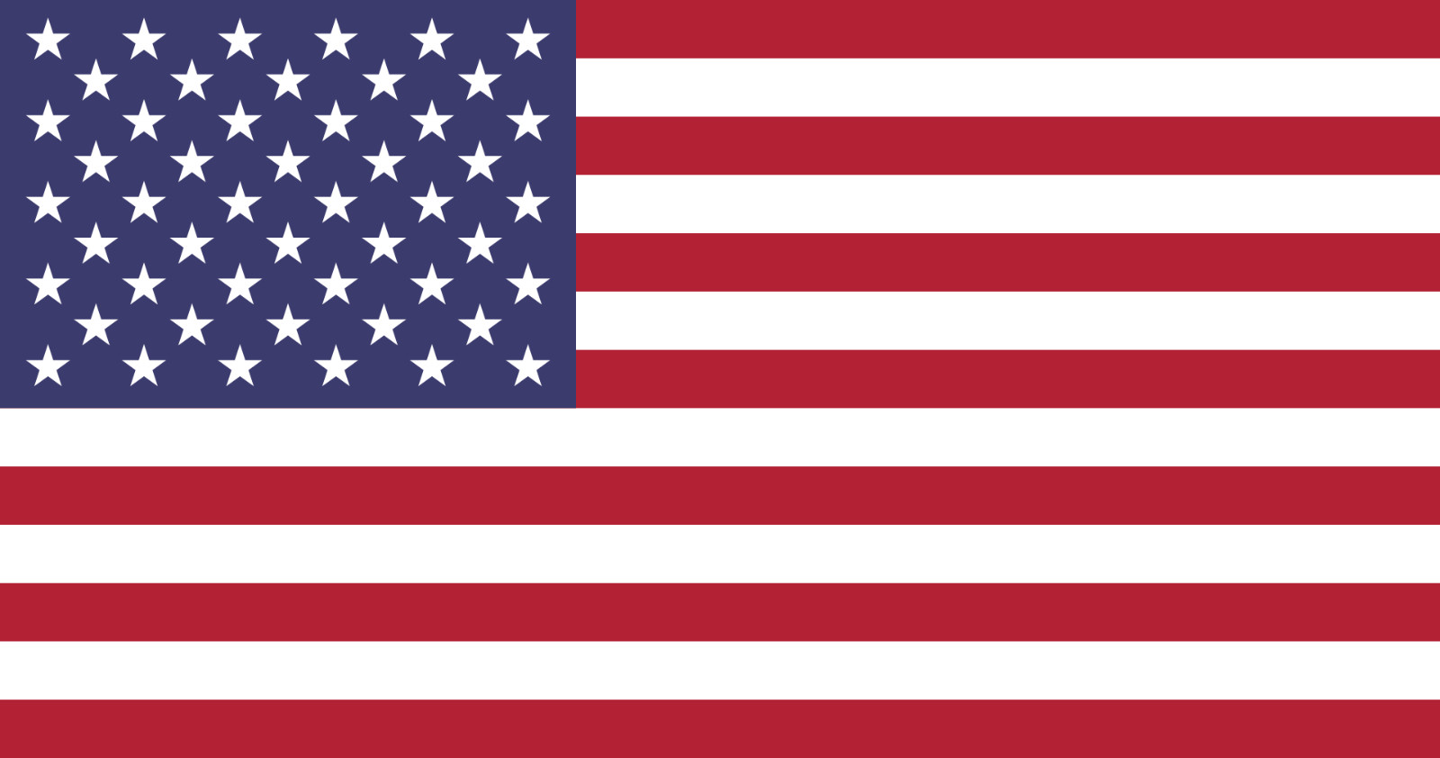 USA & US State Friendship Flag Bunting – 10m With 28 Flags – All 50 States