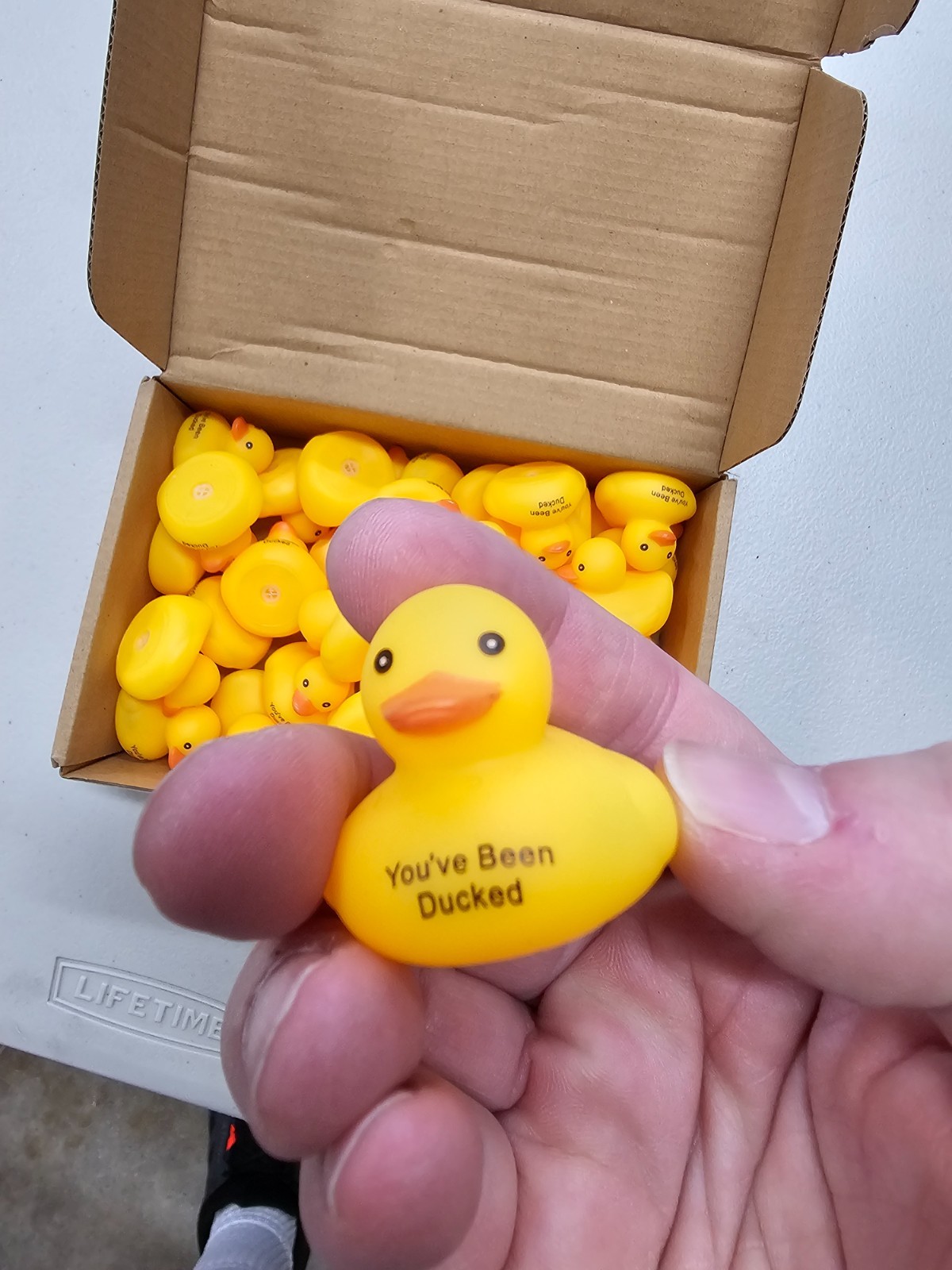 Large Lot of Small Squeaker Ducks Ducking Jeeps Jeep – Fast US Shipping