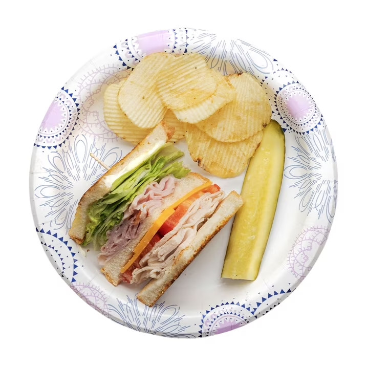 Great Value 8.5″ Everyday Disposable Paper Plates, 100 Count