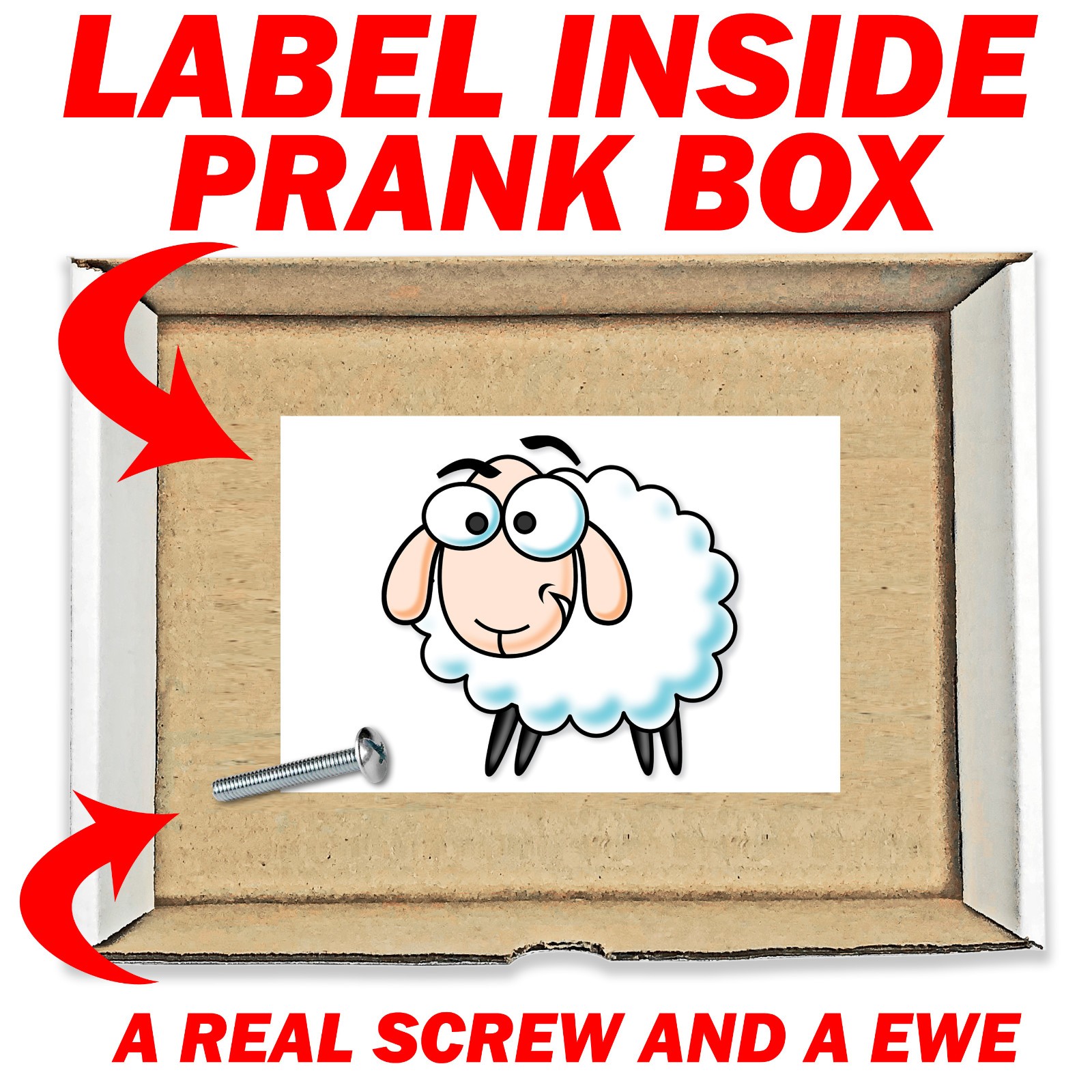Screw Ewe Prank Mail Sent Anonymously!