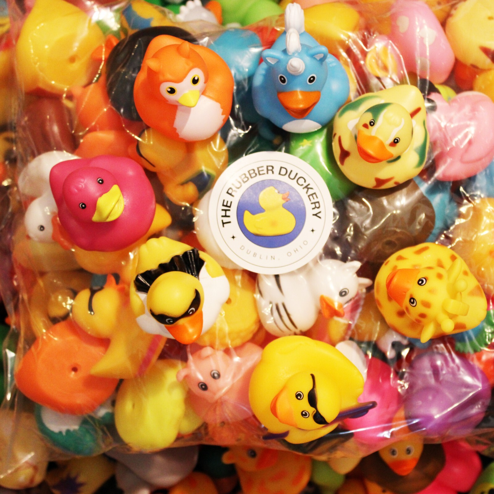 Bag of Assorted Rubber Ducks from Rubber Duckery | 100 Ducks For Duck Duck Jeep