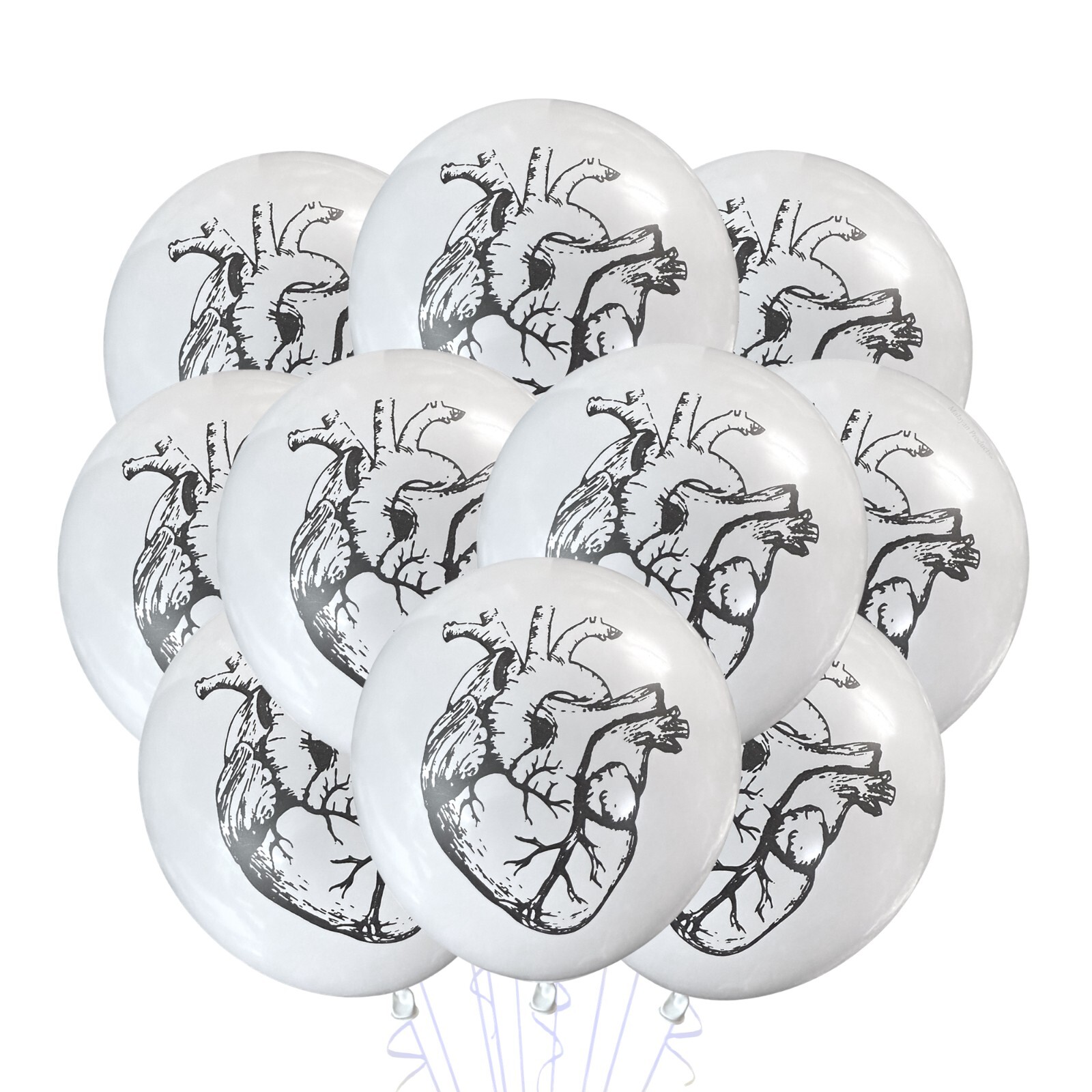 6 Count Anatomical Correct Heart Balloons 12″ Medical Nurse Doctor Valentine