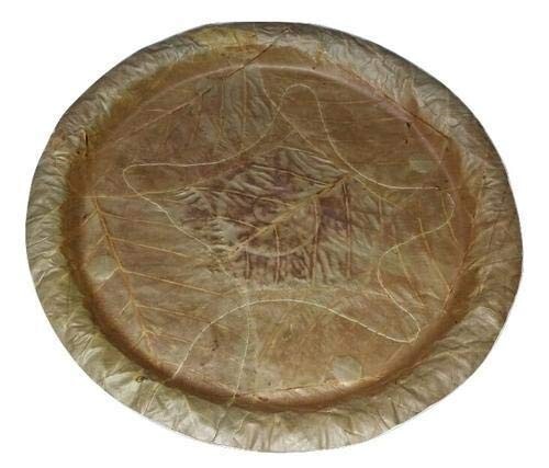 Natural Biodegradable Disposable SAL Leaf Plates -Pack of 50