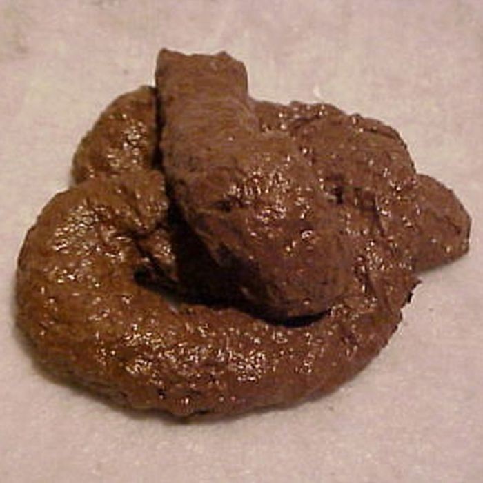 PREMIUM Fake Dog Poop Doggie Poo Realistic Doggy Doo Doo Dirt Joke Gag Crap Pile