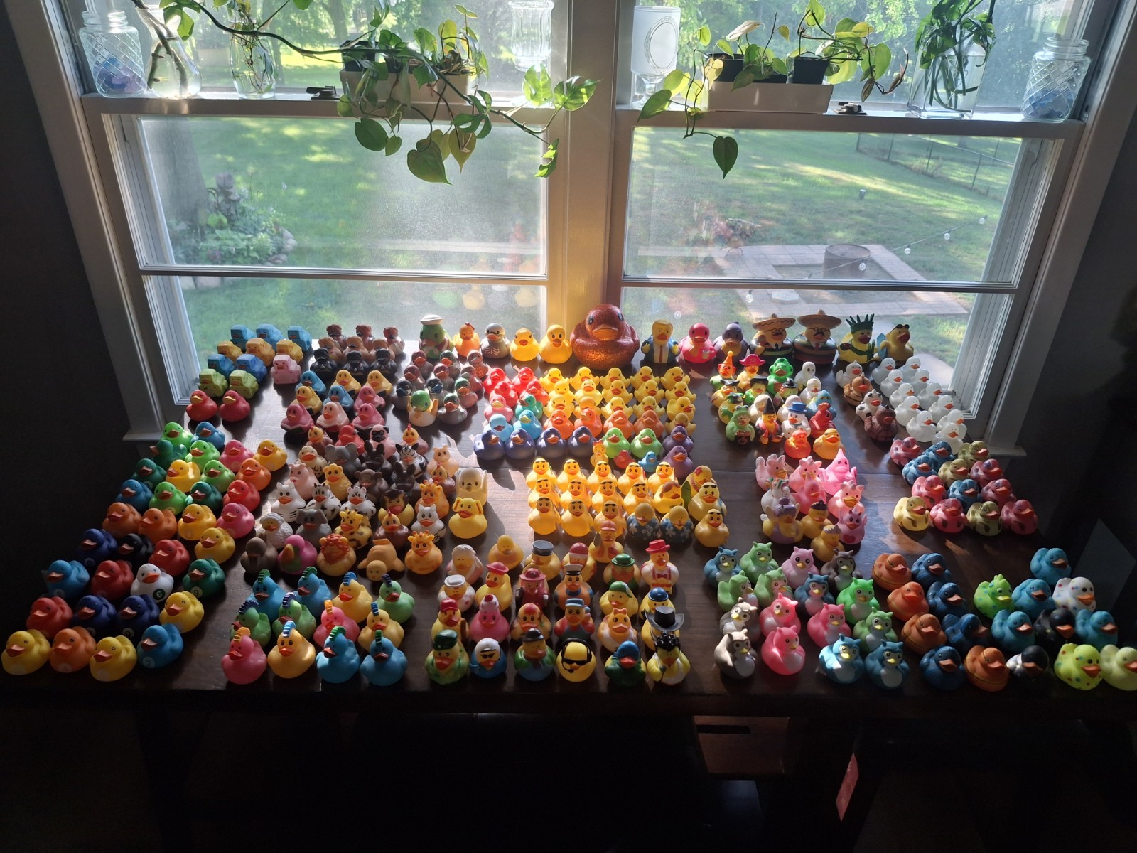Large Collection (300) of assorted Rubber Ducks for Jeep “Ducking”/Party Favors