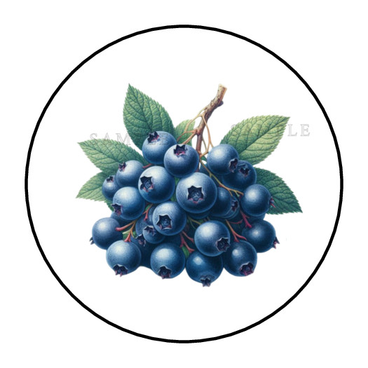Blueberries Fruit stickers labels tags envelope seals party favors
