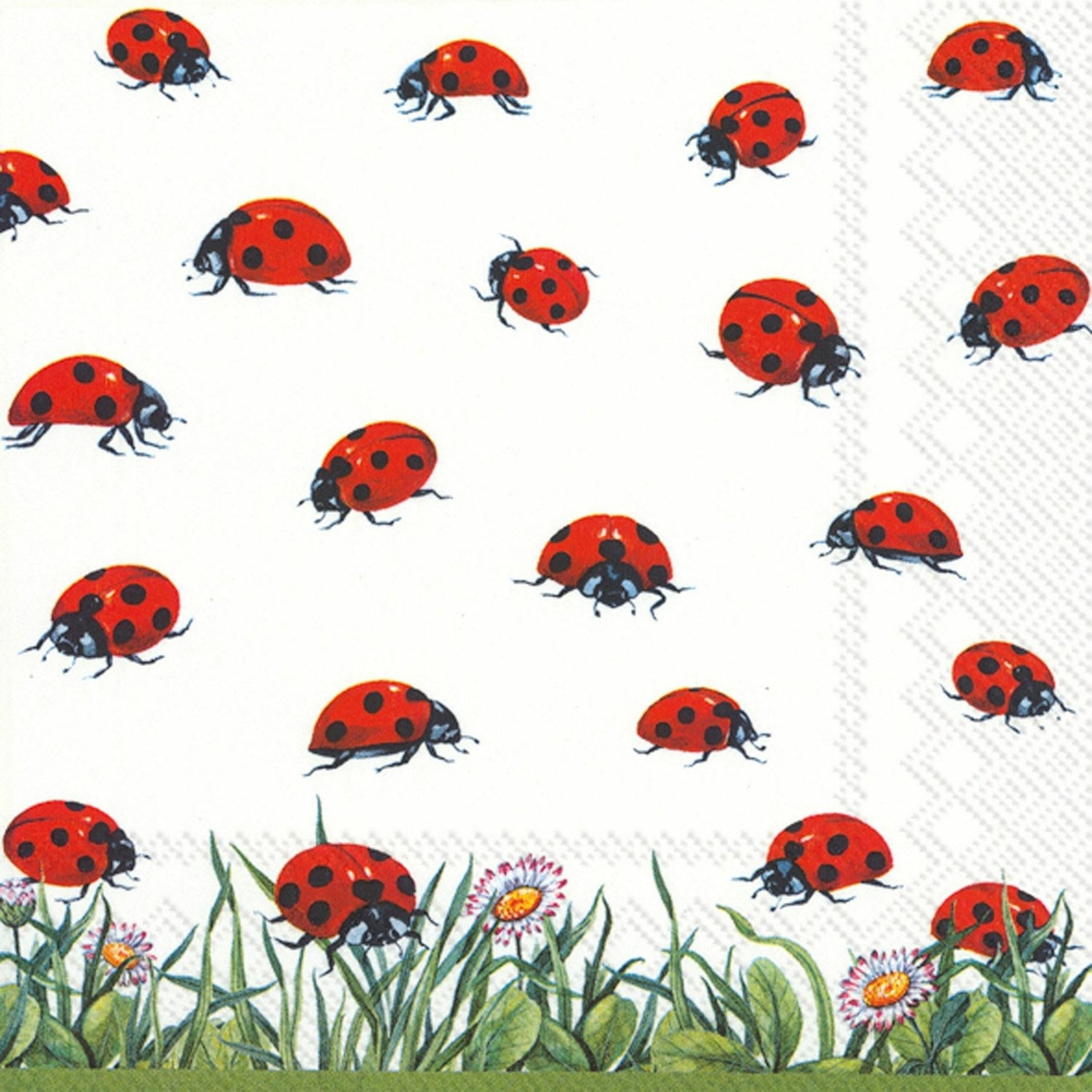 Paper Lunch Napkins Hustle and Bustle Ladybird Party 3-ply Disposable Serviettes