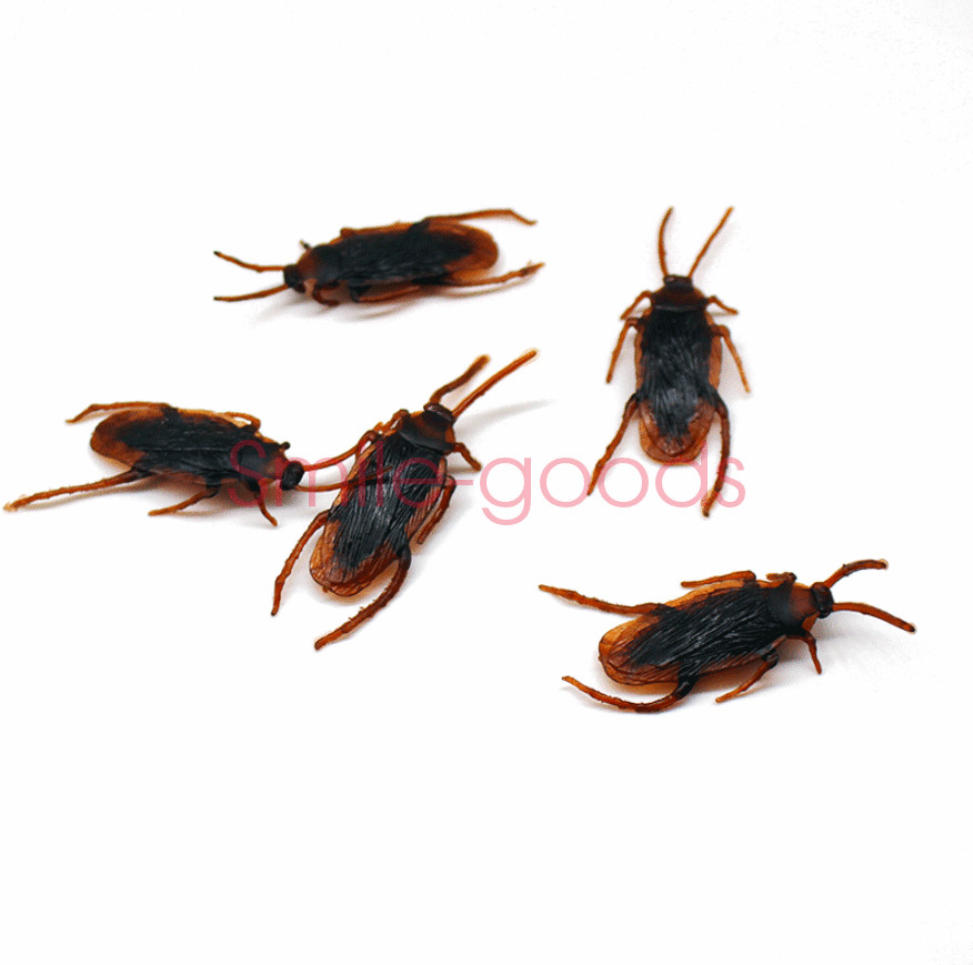 Prank Cockroaches Realistic Cock Roach Rubber Fake Creepy Bugs Gag Toy Joke 40pc