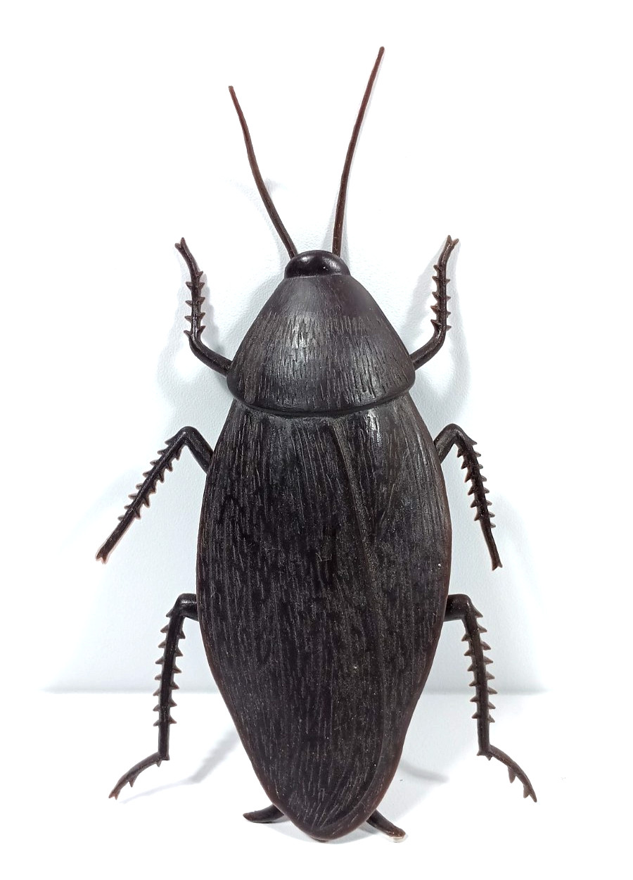 JUMBO COCKROACH 6″ Giant Rubber Fake Bug Prank Joke Gag Funny Roach Halloween