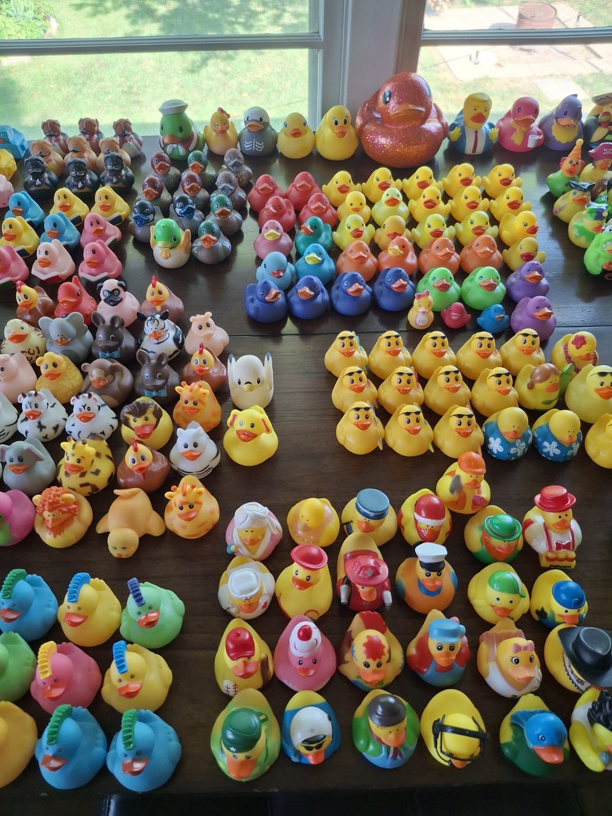 Large Collection (300) of assorted Rubber Ducks for Jeep “Ducking”/Party Favors