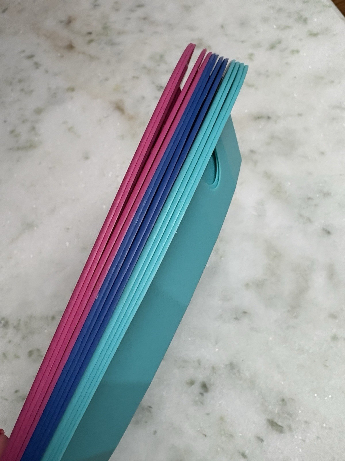12 Pc Reusable Plastic 9” Paper Plate Holders, Blue Teal Pink