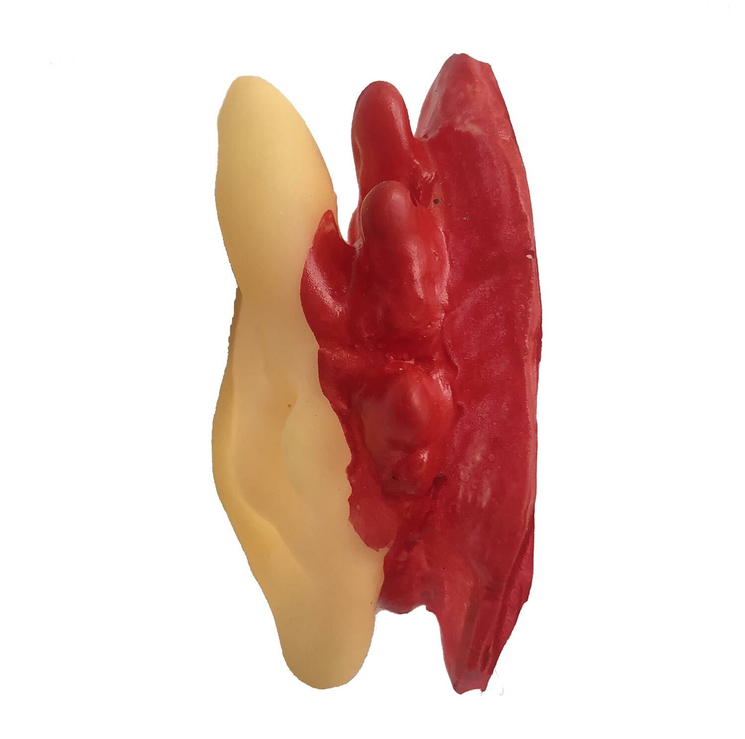 5pc Bloody Body Part Fake HUMAN SEVERED EARS Zombie Hunter Halloween Horror Prop