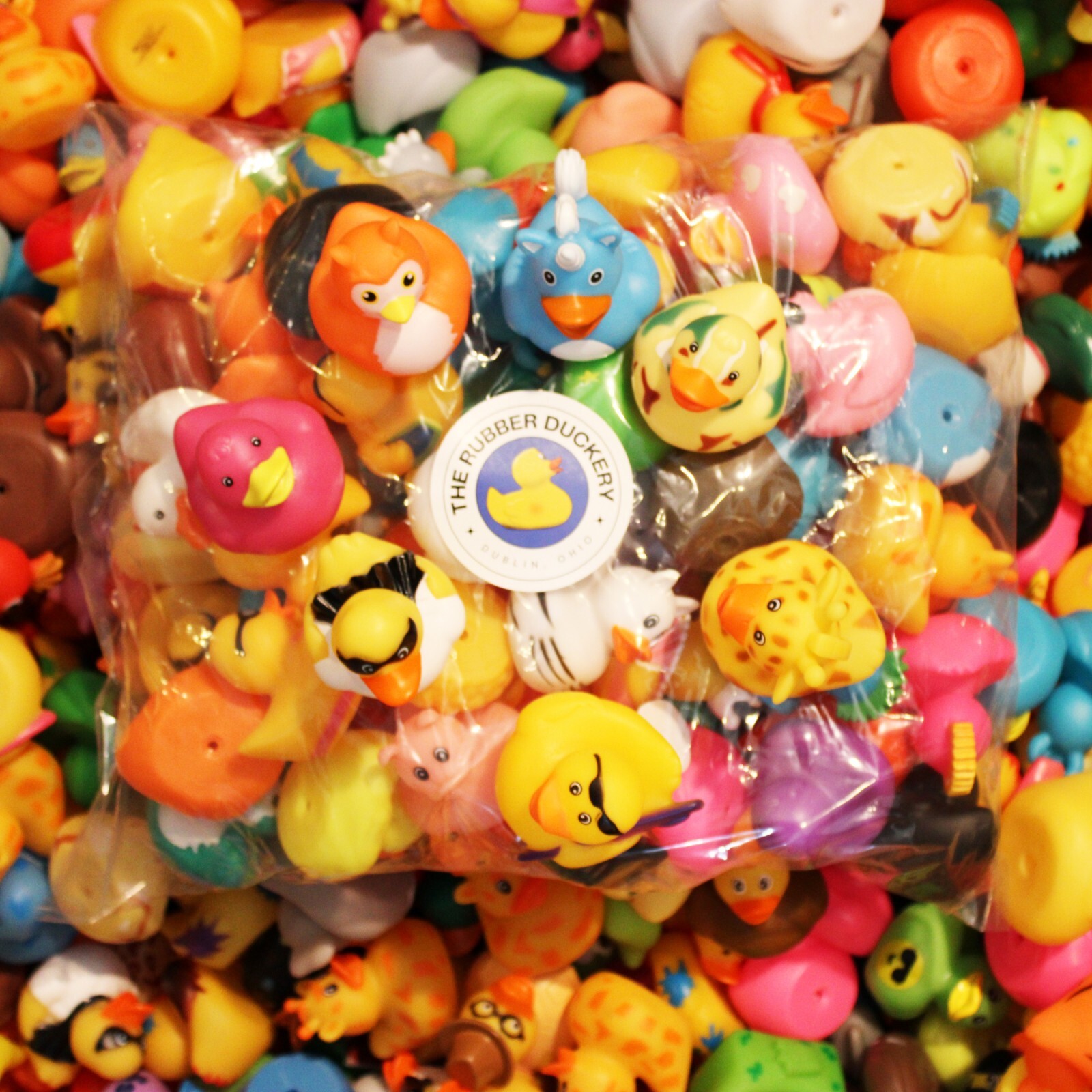 Bag of Assorted Rubber Ducks from Rubber Duckery | 100 Ducks For Duck Duck Jeep