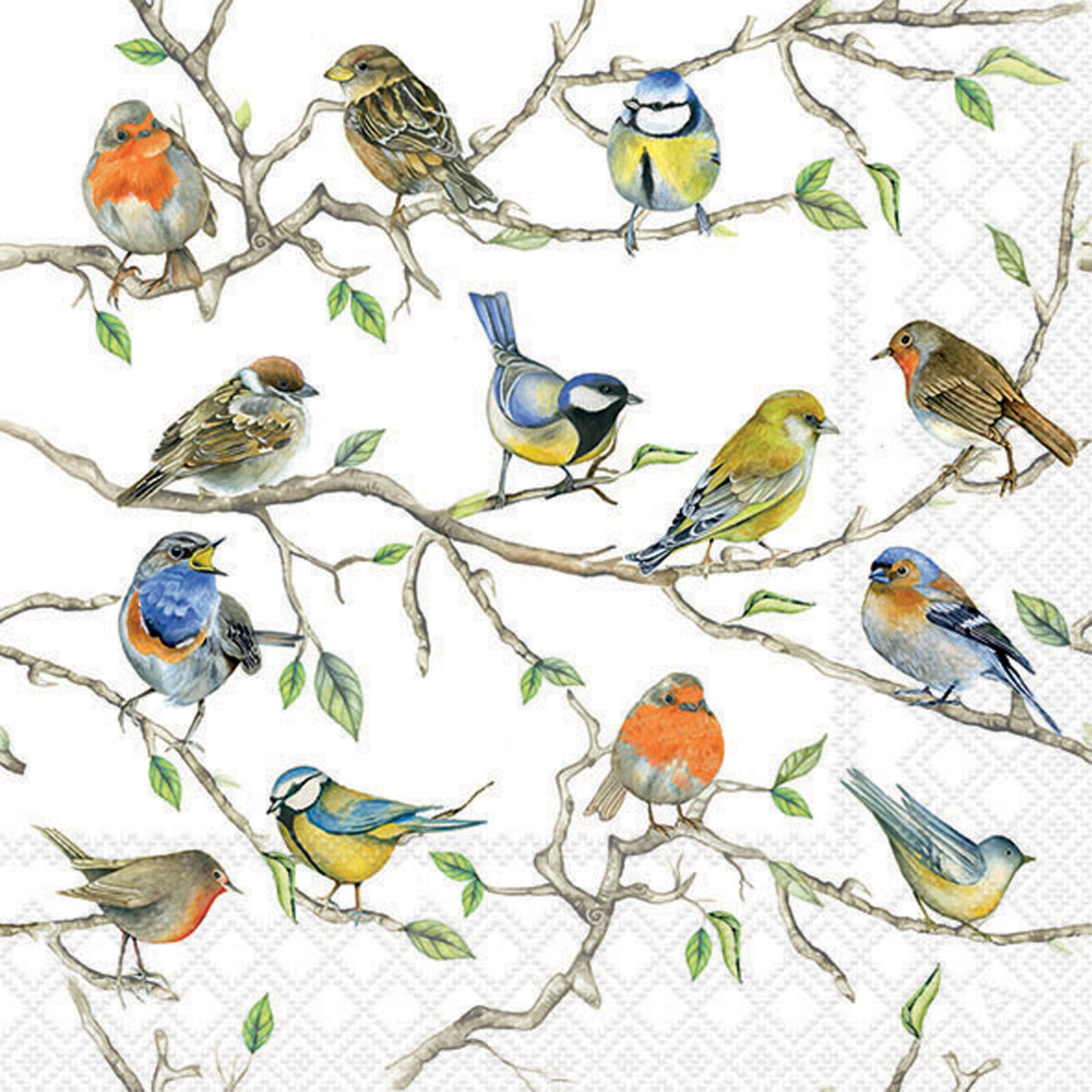 Garden Birds Paper Napkins 3 Ply Nature Tea Party Serviettes Decoupage x 20